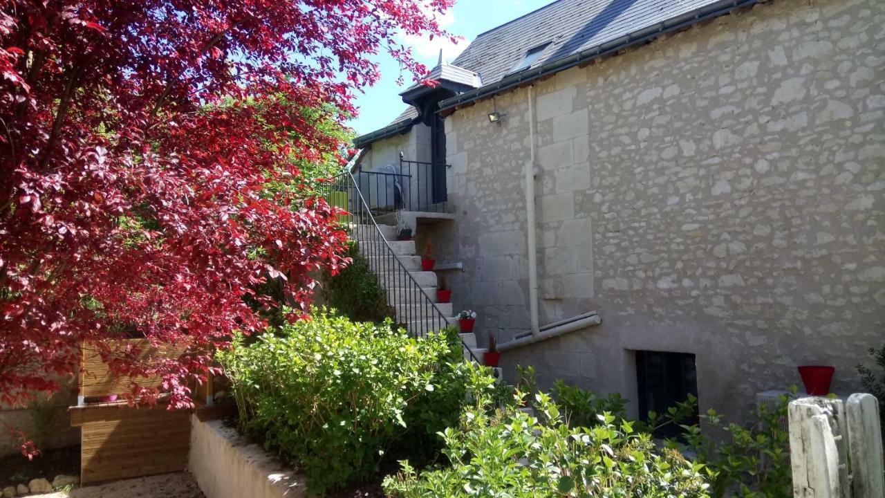 Gites Et Chambres Des Coteaux Sainte-Maure-de-Touraine Kültér fotó